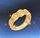 黄金の指輪(R3)